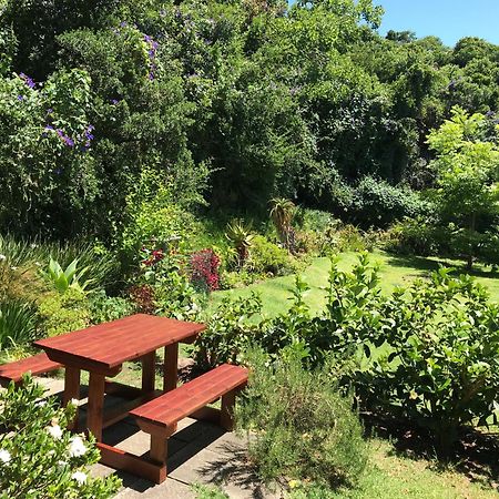 Loeriewood Garden Apartment, Hunters Home Knysna Luaran gambar