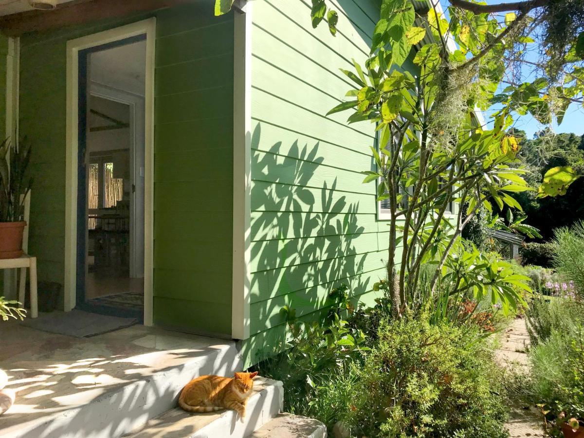 Loeriewood Garden Apartment, Hunters Home Knysna Luaran gambar
